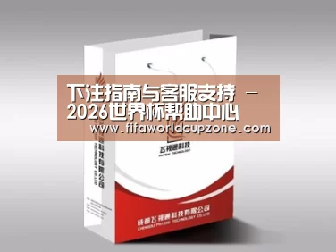 项目名称十三