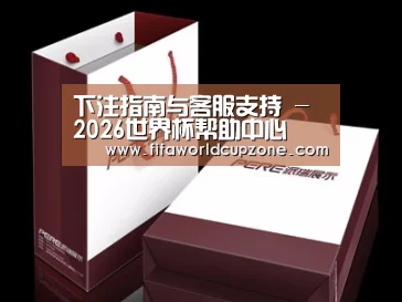 项目名称十二