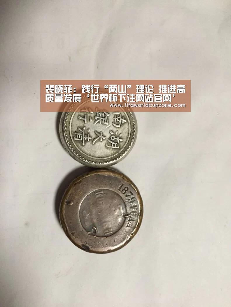 裴晓菲:践行“两山”理论 推进高质量发展‘世界杯下注网站官网’(图1) 世界杯下注网站