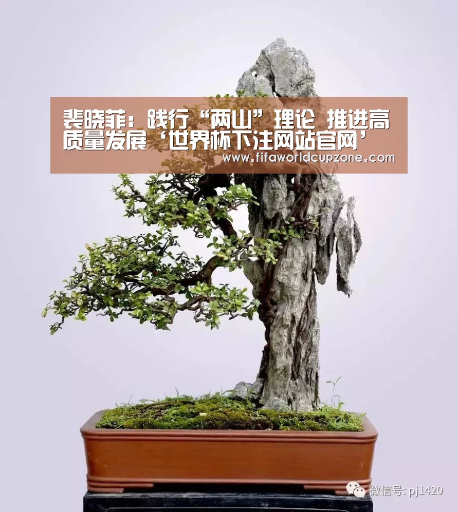 裴晓菲:践行“两山”理论 推进高质量发展‘世界杯下注网站官网’(图2) 世界杯下注平台