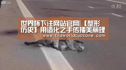 世界杯下注网站官网|【整形历史】用造化之手传播美丽理念的北京艺星医疗美容医院(图1) 世界杯下注平台