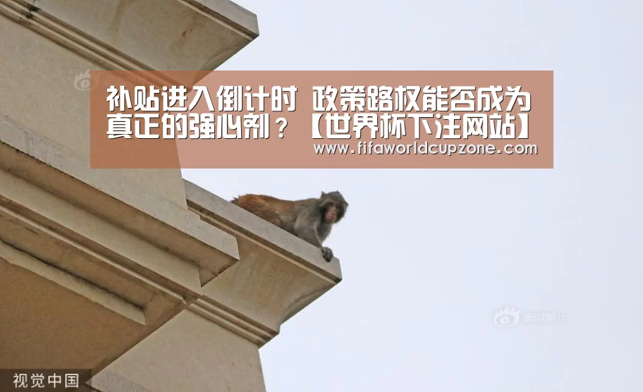 补贴进入倒计时 政策路权能否成为真正的强心剂?【世界杯下注网站】(图1) 世界杯投注站