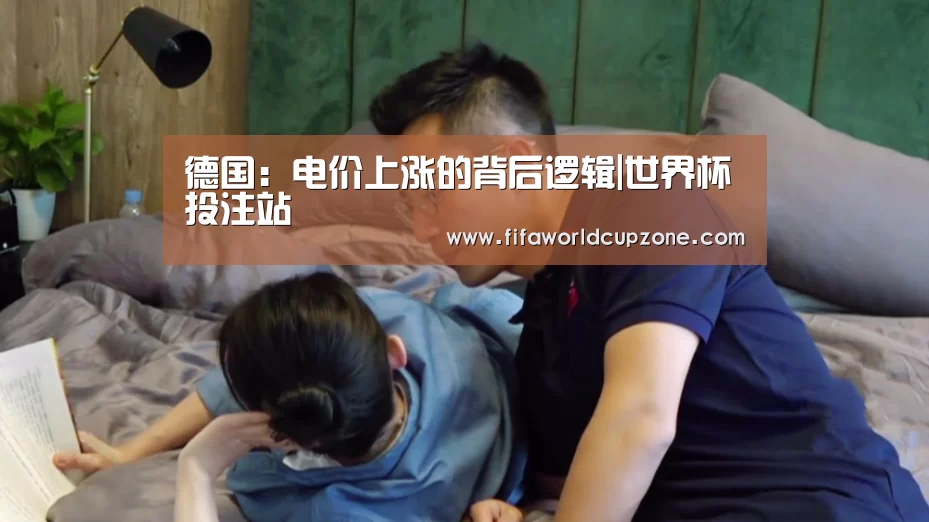 德国:电价上涨的背后逻辑|世界杯投注站(图4) 世界杯下注平台