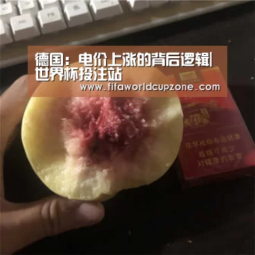 德国:电价上涨的背后逻辑|世界杯投注站(图2) 世界杯下注平台