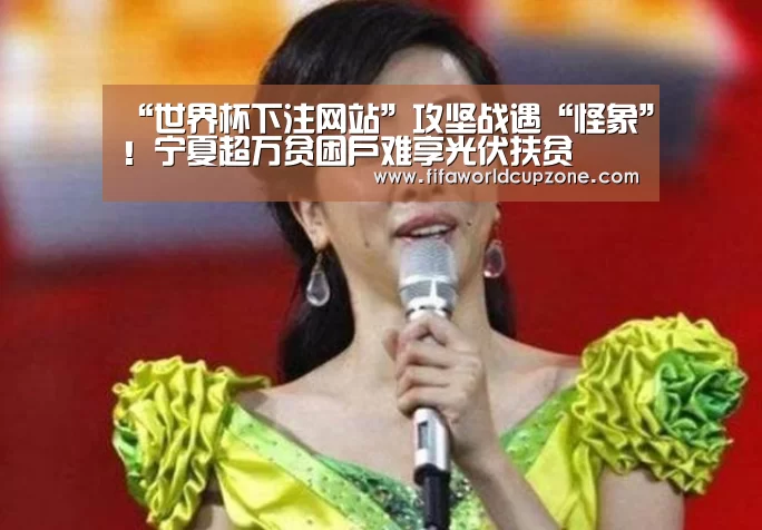 “世界杯下注网站”攻坚战遇“怪象”!宁夏超万贫困户难享光伏扶贫(图3) 世界杯投注站