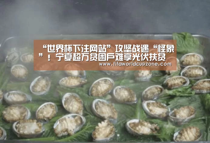 “世界杯下注网站”攻坚战遇“怪象”!宁夏超万贫困户难享光伏扶贫(图1) 世界杯投注站